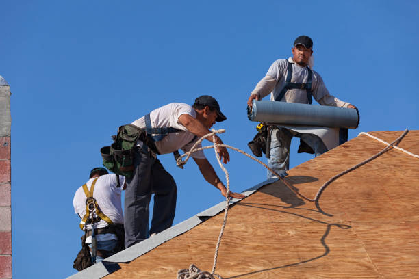 Best Gutter Installation and Roofing  in Winthrop, IA
