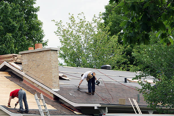 Best Storm Damage Roof Repair  in Winthrop, IA