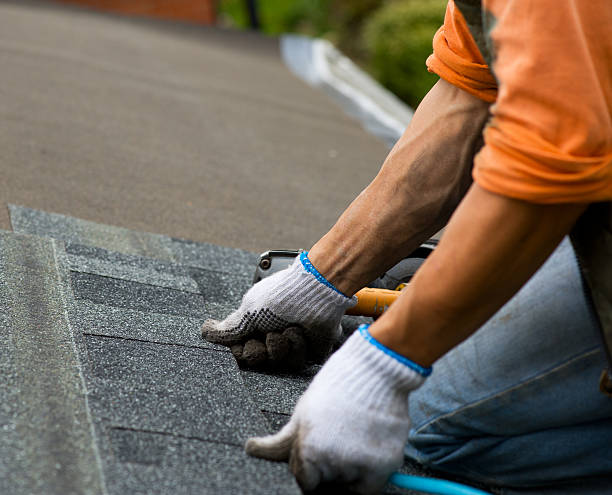 Best Roof Repair Services  in Winthrop, IA
